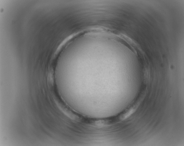 X0000079340064200612151918