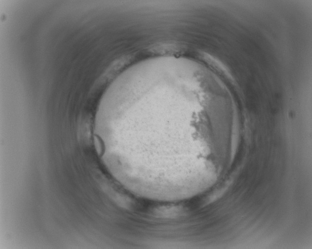 X0000079340065200612151918