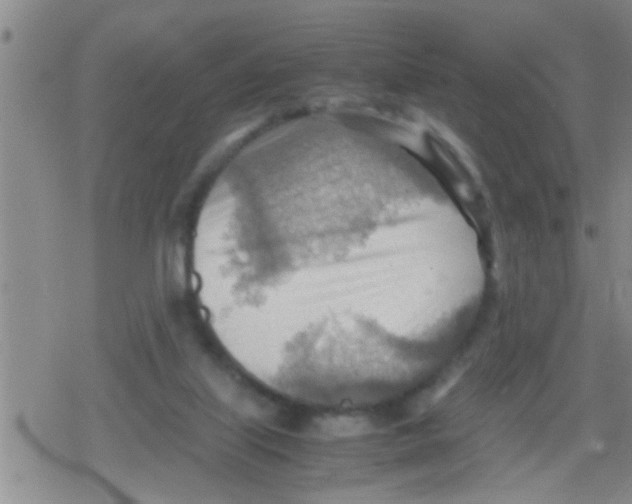 X0000079340067200612151918