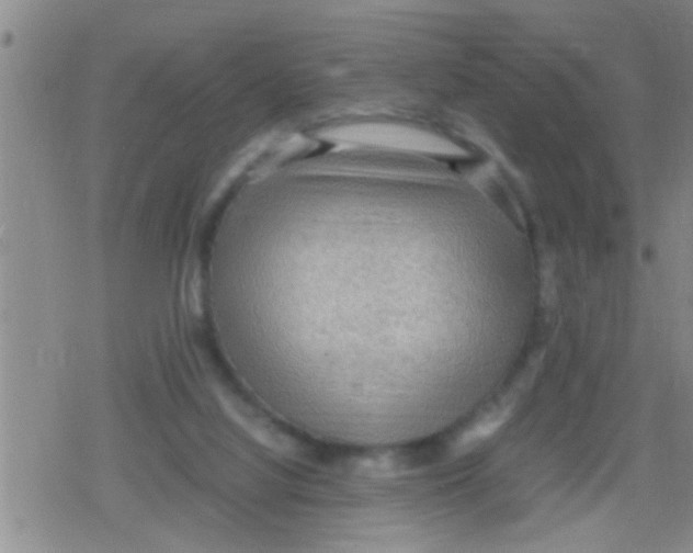 X0000079340068200612151918