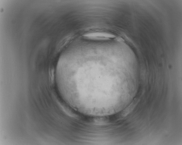 X0000079340070200612151918