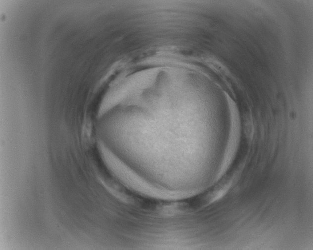 X0000079340072200612151918