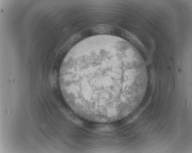 X0000079340073200612151918