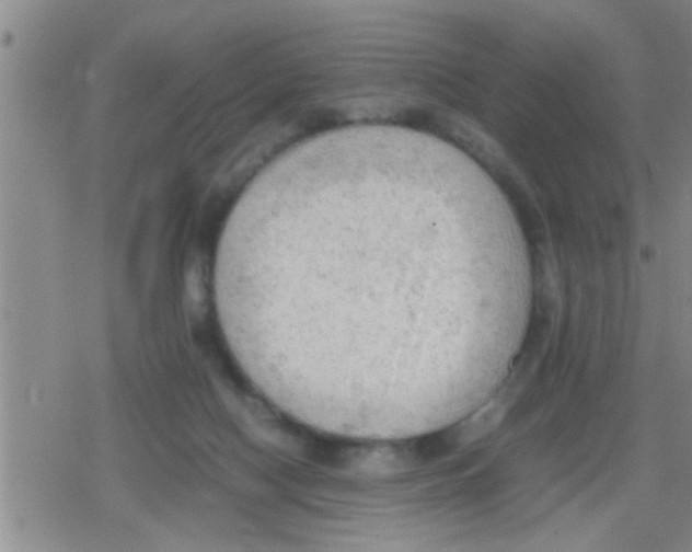 X0000079340074200612151918