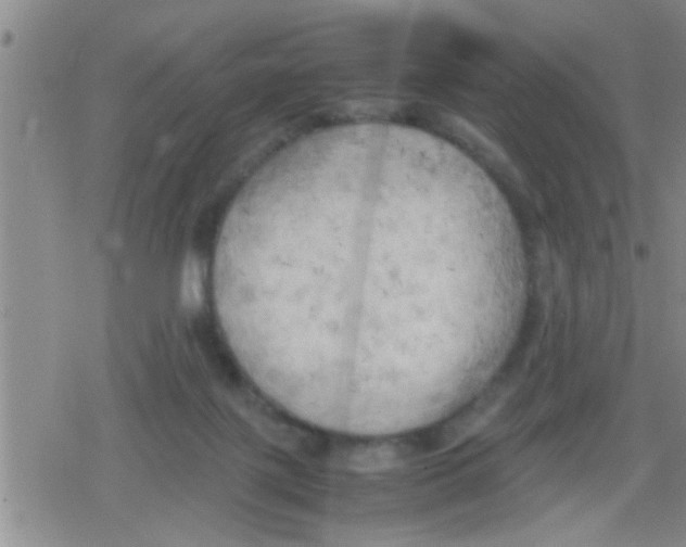 X0000079340075200612151918