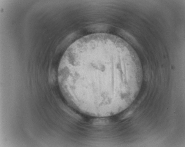 X0000079340077200612151918