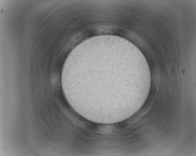 X0000079340079200612151918