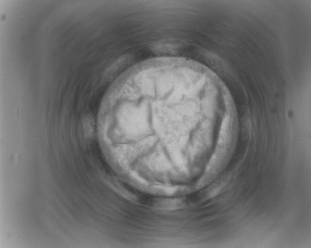 X0000079340081200612151918