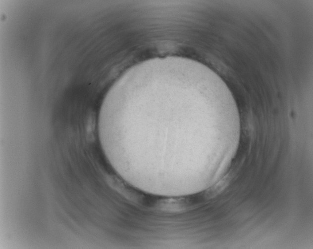 X0000079340082200612151918