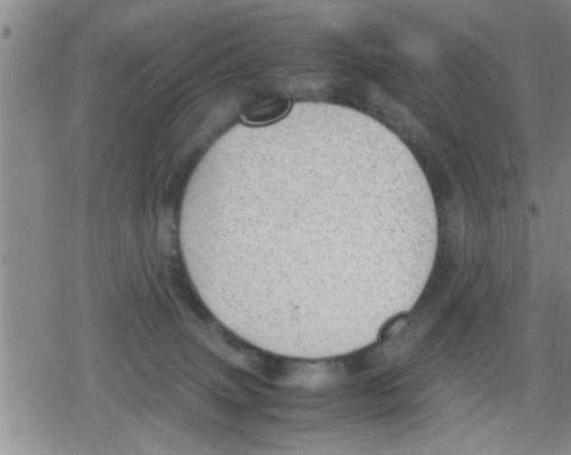 X0000079340083200612151918