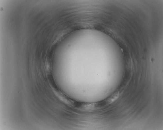 X0000079340084200612151918