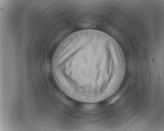 X0000079340085200612151918