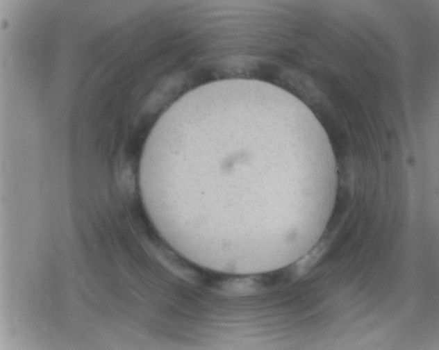 X0000079340086200612151918