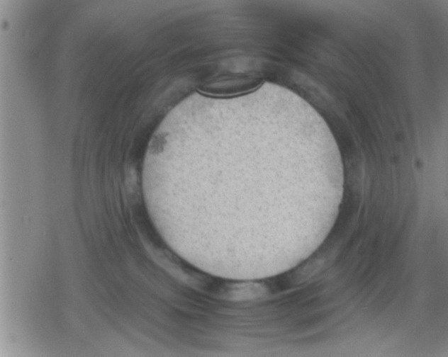 X0000079340087200612151918