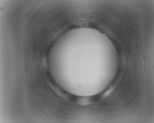 X0000079340088200612151918