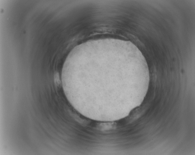 X0000079340089200612151918