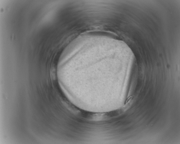 X0000079340090200612151918