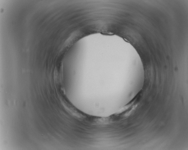 X0000079340092200612151919