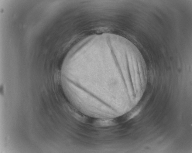 X0000079340093200612151919