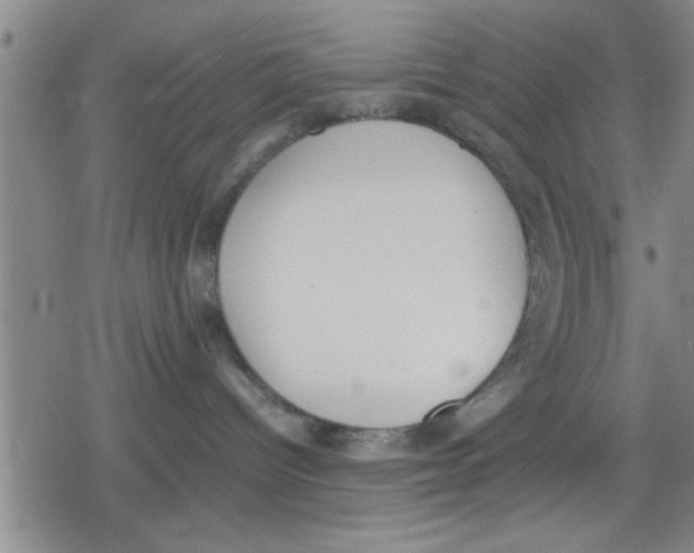 X0000079340096200612151919