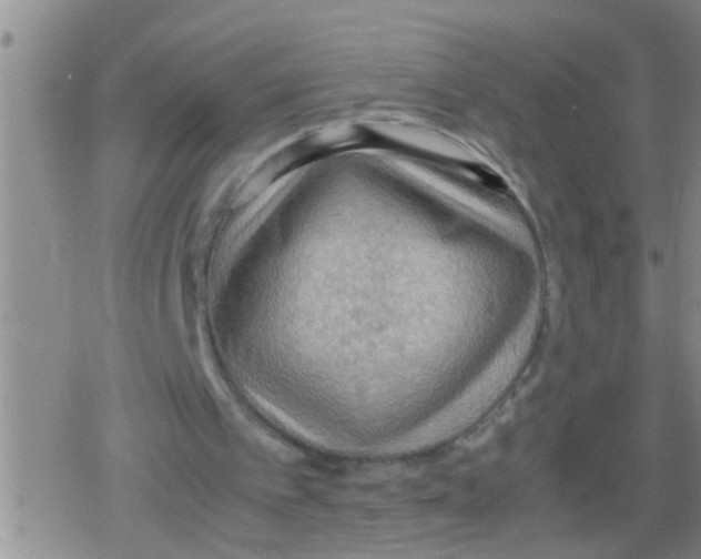 X0000079340097200612151918