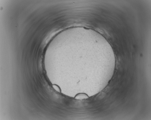 X0000079340098200612151918