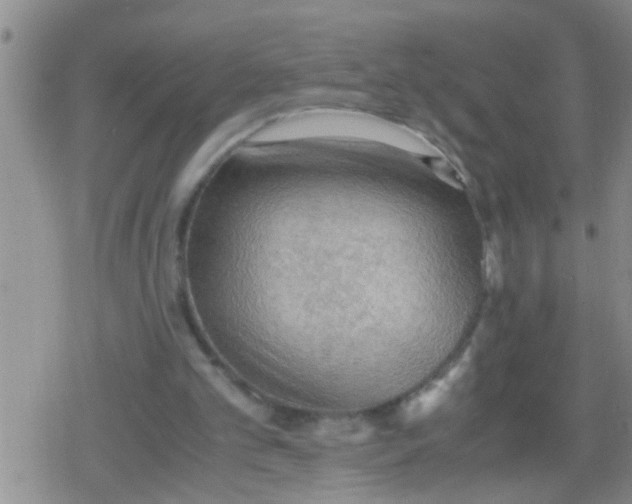 X0000079340101200612151918