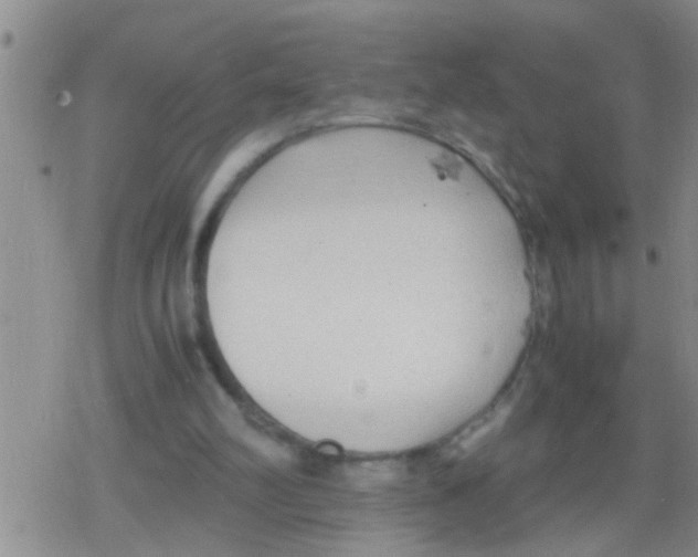 X0000079340102200612151918