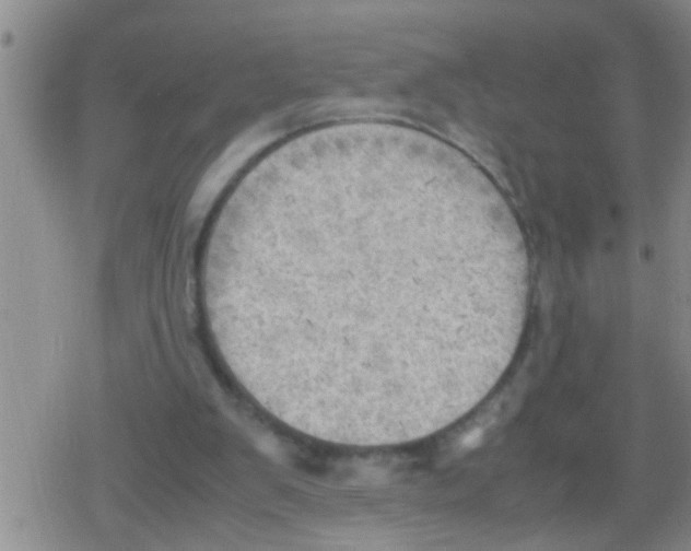 X0000079340103200612151918