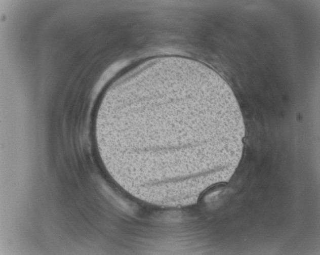 X0000079340104200612151918