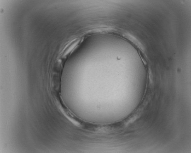 X0000079340105200612151918