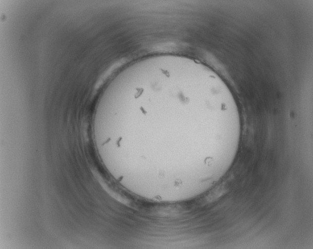 X0000079340106200612151918