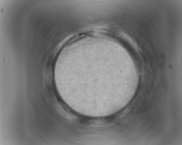 X0000079340107200612151918