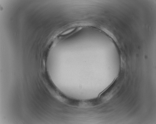 X0000079340109200612151918