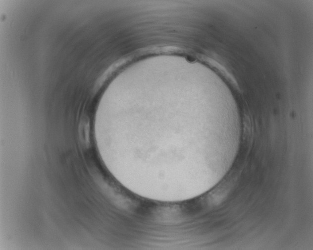 X0000079340110200612151918