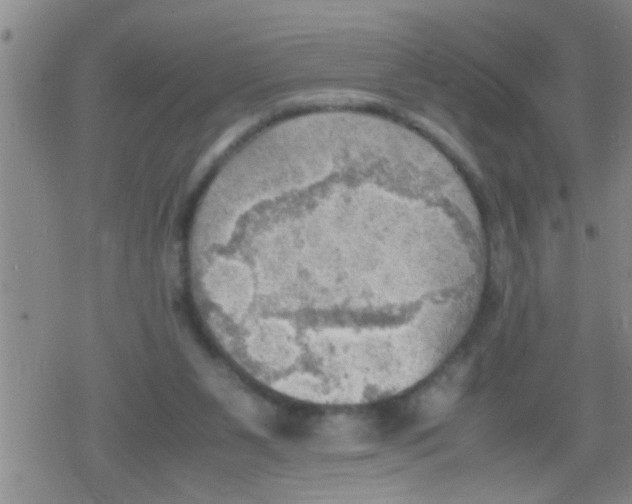 X0000079340111200612151918