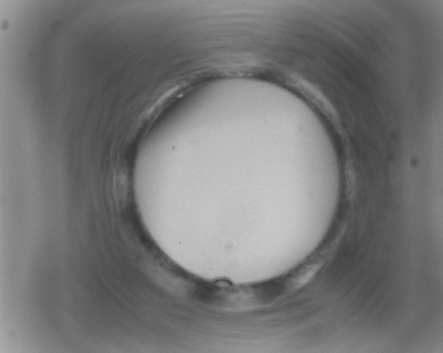 X0000079340113200612151918