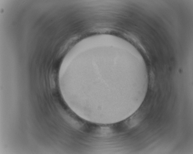 X0000079340114200612151918