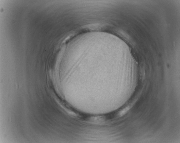 X0000079340117200612151917