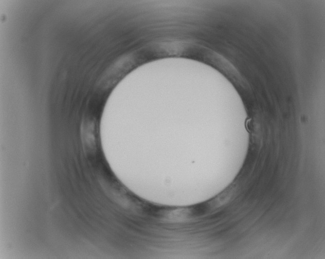 X0000079340122200612151917