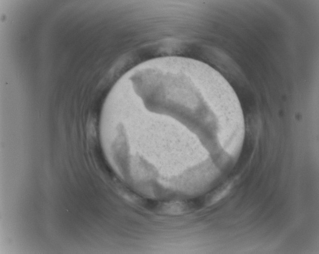 X0000079340127200612151917