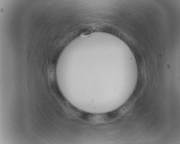 X0000079340129200612151917