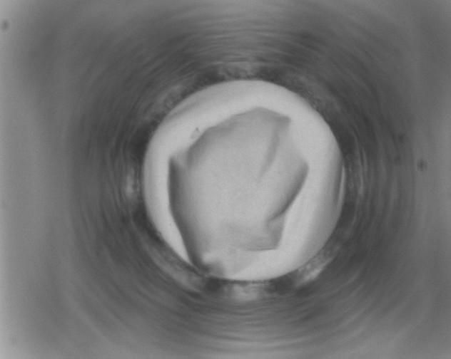 X0000079340134200612151917