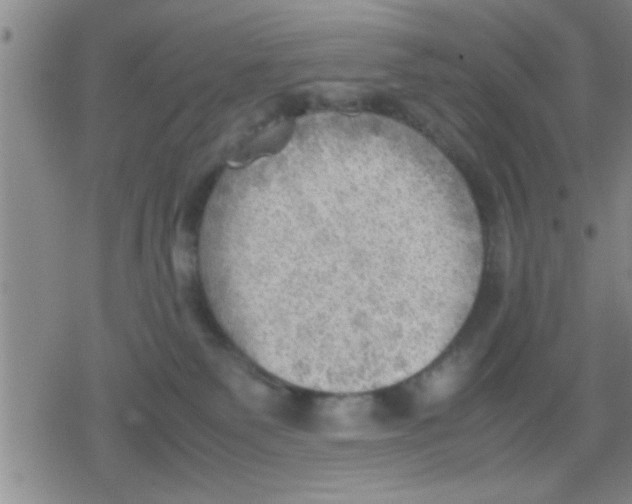 X0000079340135200612151917