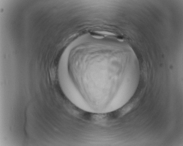 X0000079340139200612151917