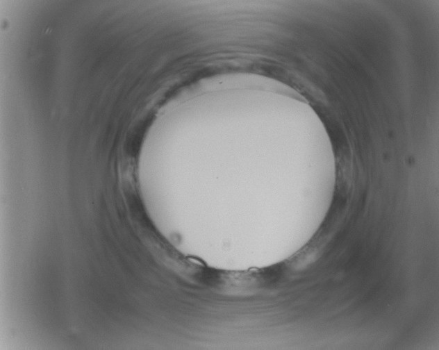 X0000079340141200612151917