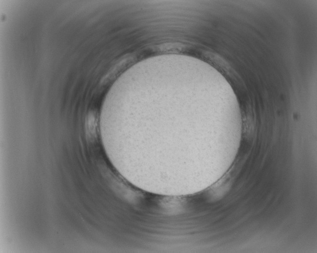 X0000079340142200612151917