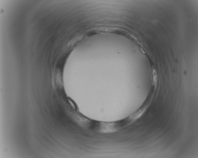 X0000079340143200612151917