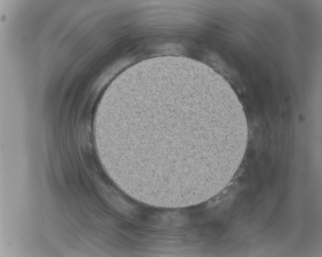 X0000079340146200612151916