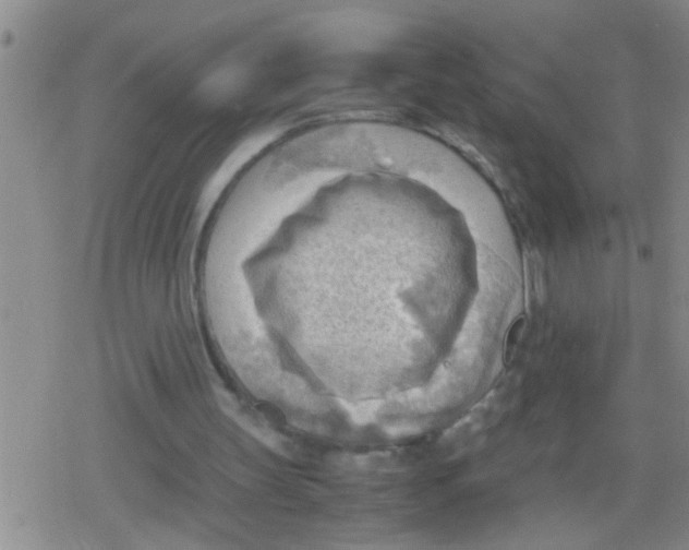 X0000079340147200612151916